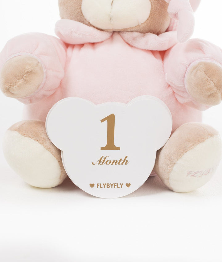 Baby milestone cards in pink