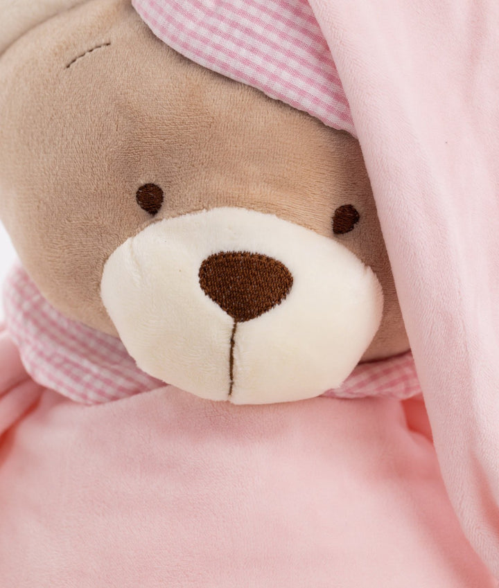 Detail of teddy bear face with embroidered nose and cream muzzle