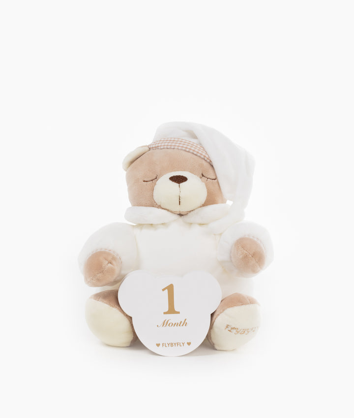 Neutral baby milestone cards for newborn photos