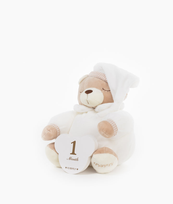 Neutral baby milestone cards for newborn photos